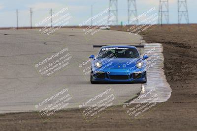 media/Jan-08-2023-OnGrid (Sun) [[46c634b271]]/Red/Grapevine((12)/